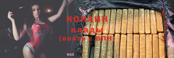 шишки Бронницы
