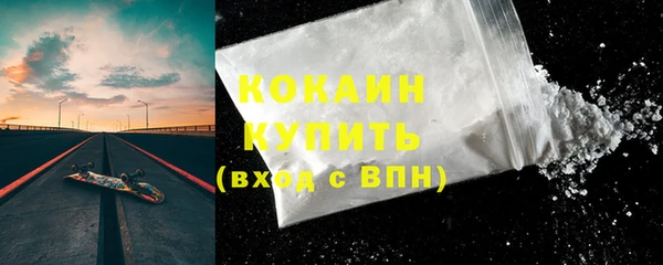 шишки Бронницы