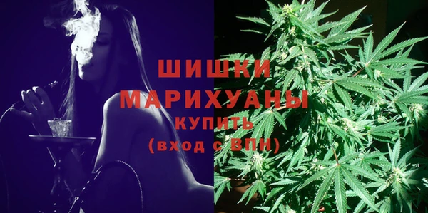шишки Бронницы