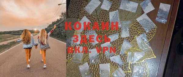 шишки Бронницы