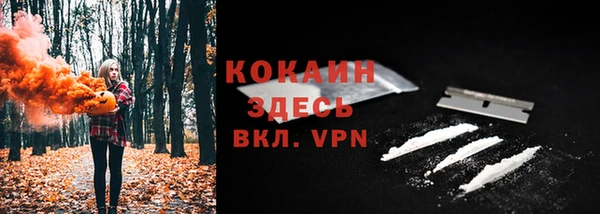шишки Бронницы