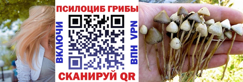 гидра зеркало Гусев Псилоцибиновые грибы Psilocybine cubensis